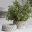 Hudson Mirabai Large Bowl