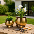 Camden Footed Vases - Set of 2