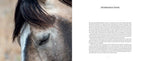 Wild Horses of the West : Coffee Table Book