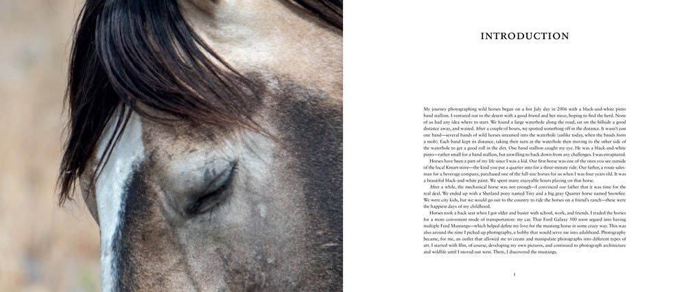 Wild Horses of the West : Coffee Table Book