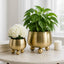 Camden Footed Vases - Set of 2
