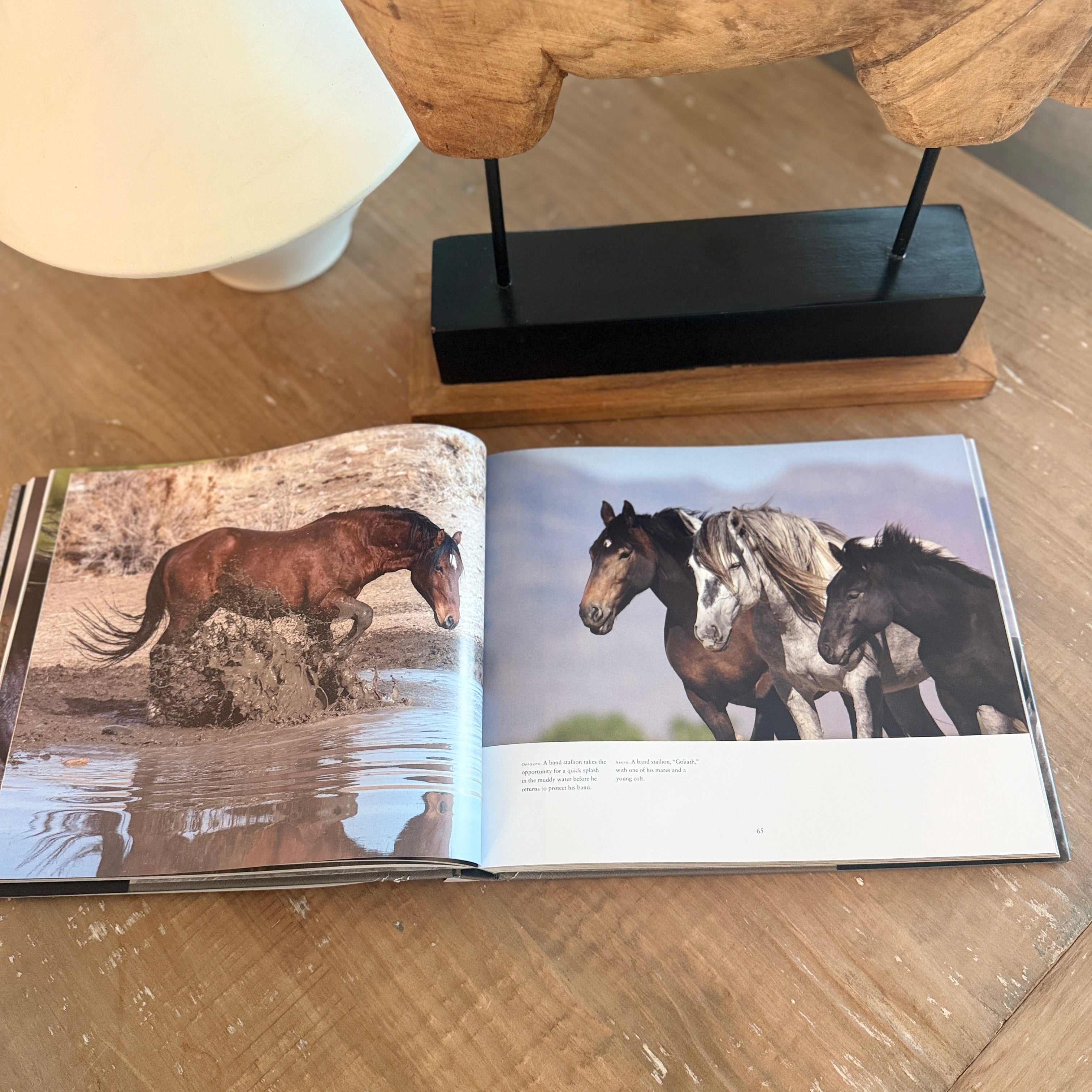 Wild Horses of the West : Coffee Table Book