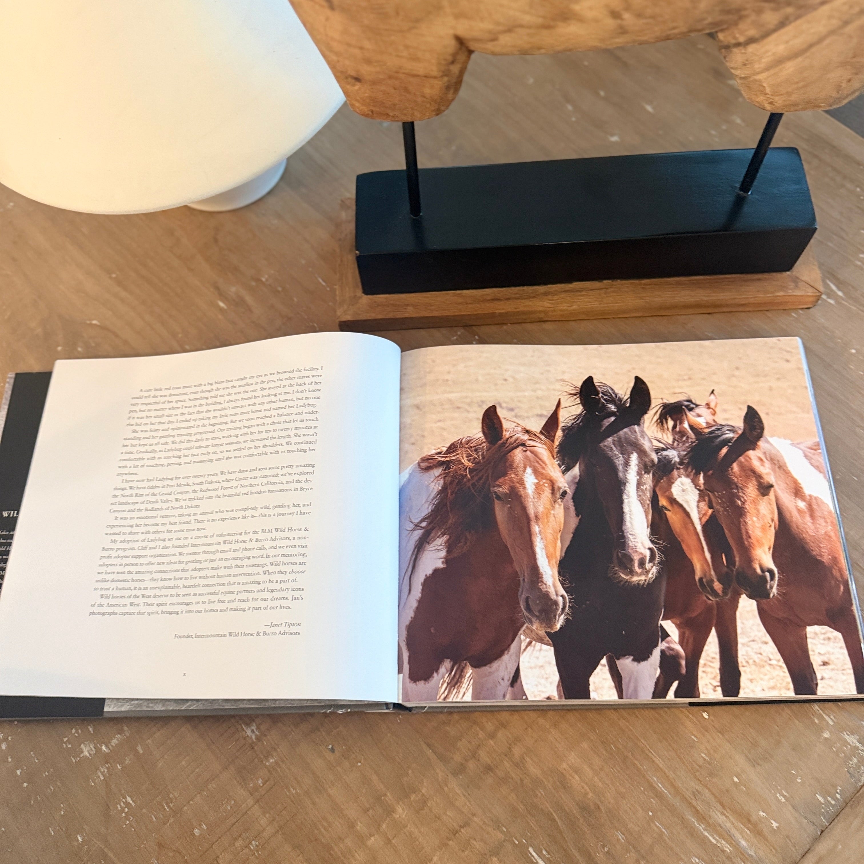 Wild Horses of the West : Coffee Table Book