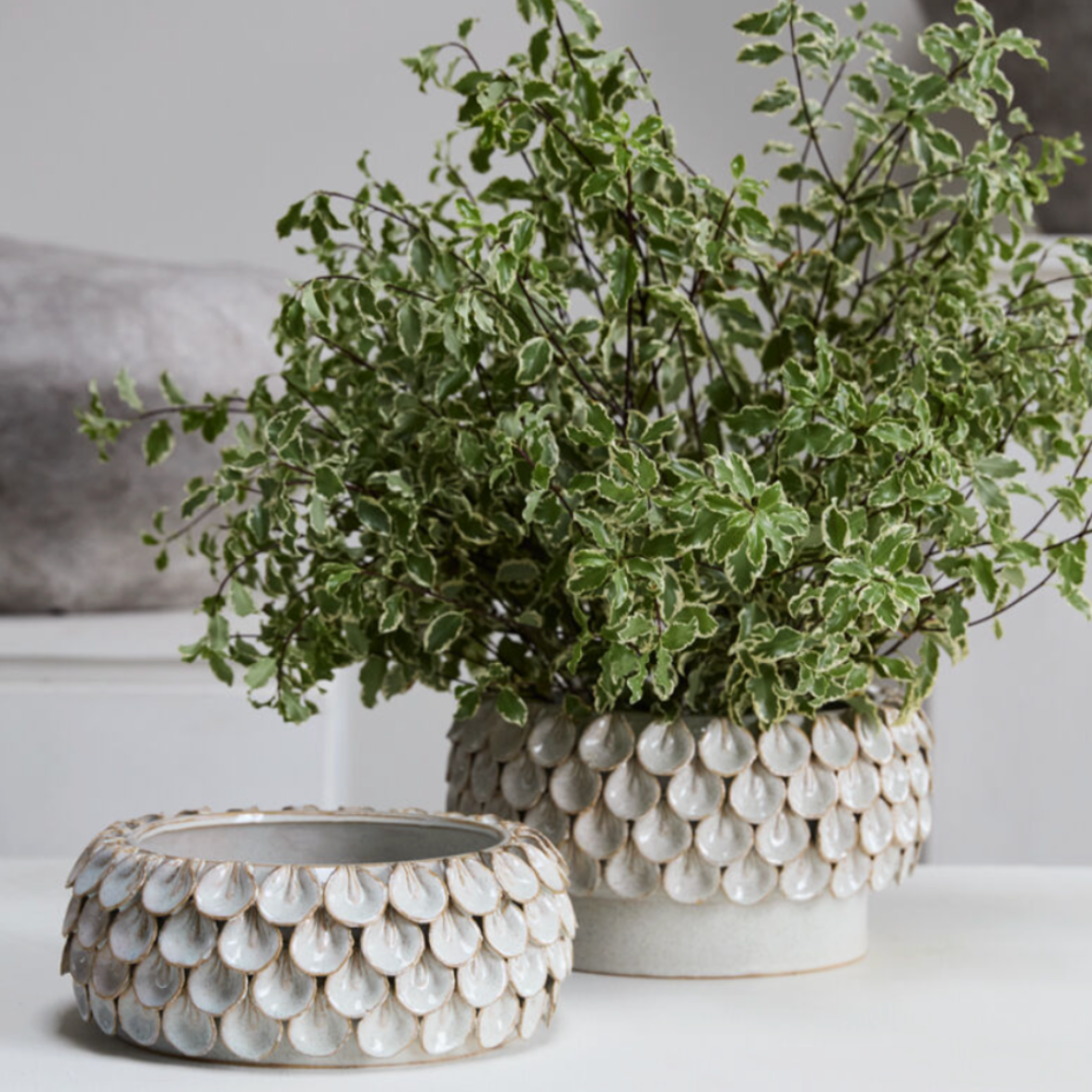 Hudson Mirabai Large Bowl