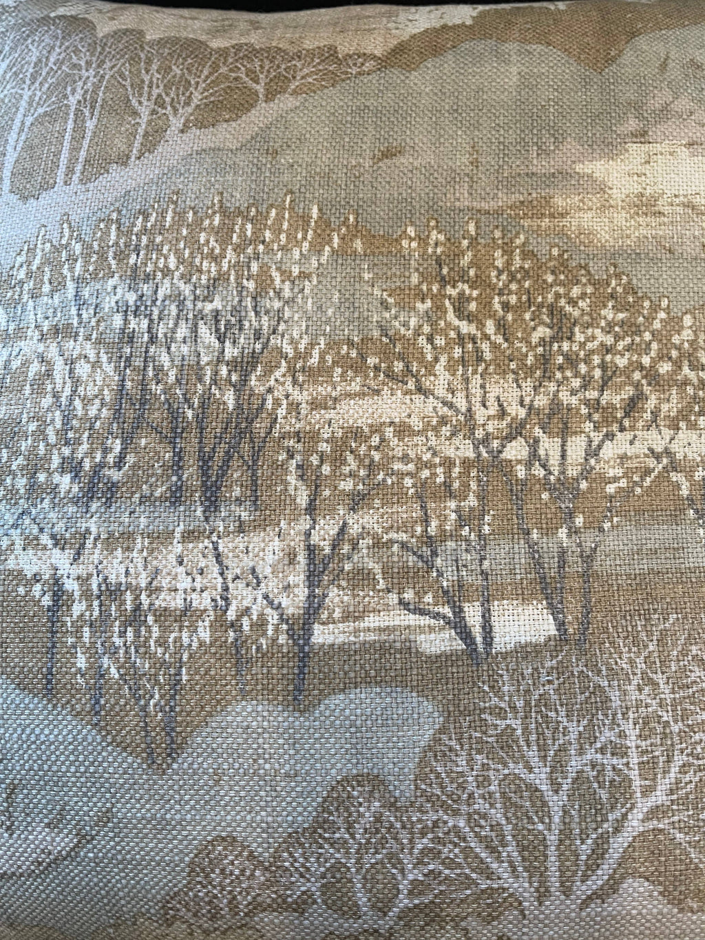 Claudia Landscape Pillow      