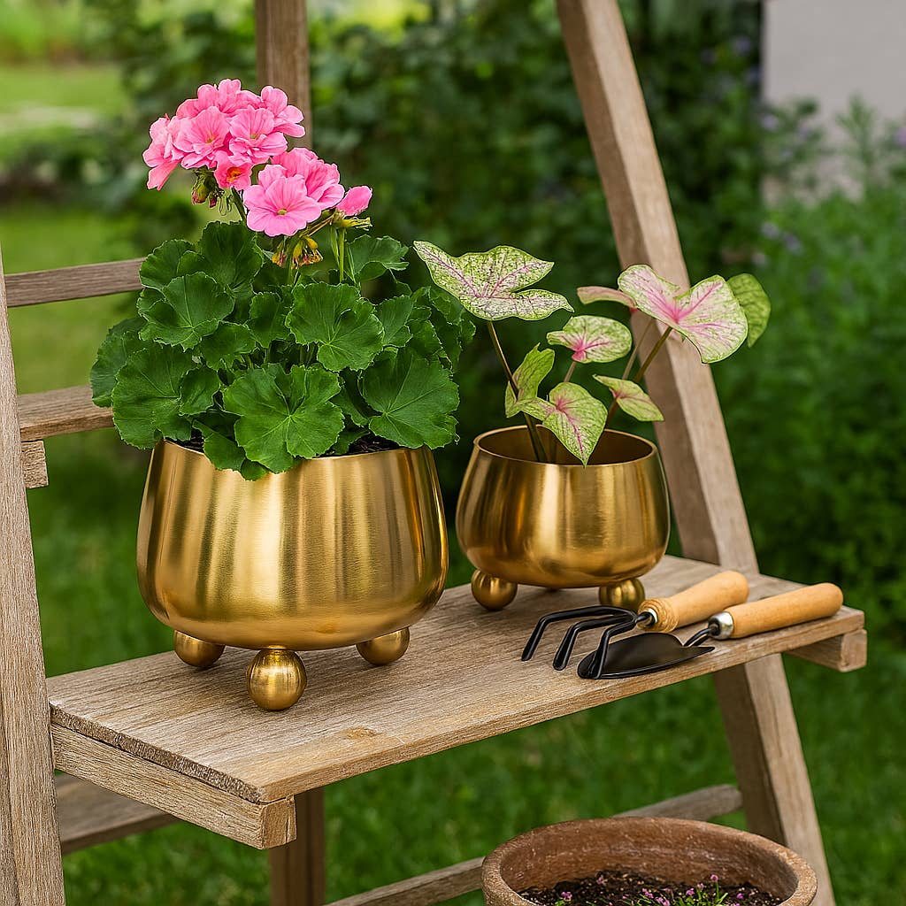 Camden Footed Vases - Set of 2
